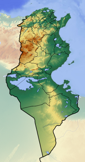 280px tunisian republic location map topographic