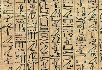 Papyrus ani