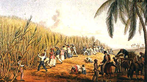 Sugar plantation 1823
