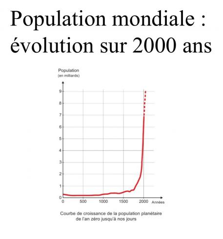 Demographie1